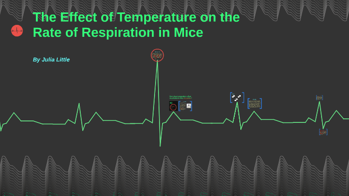 effect of temperature on respiration rate