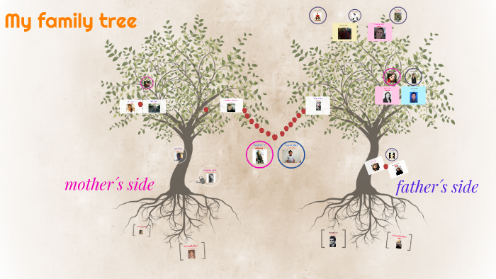 my by Laura Daniela Leguizamon Garcia on Prezi