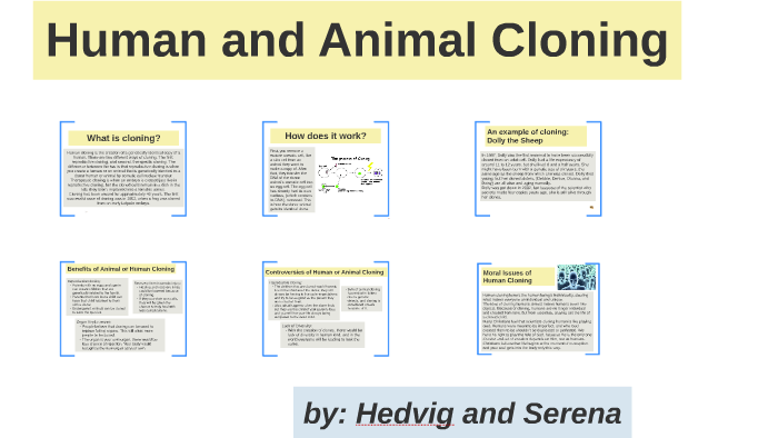 cloning humans with animals