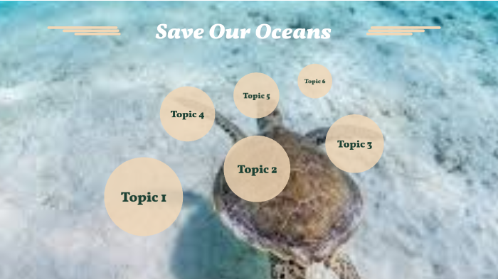 Turtle Presentation-Taylor White by Taylor White on Prezi
