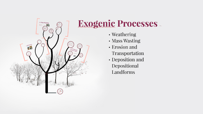 exogenic-processes-by-bryan-adona