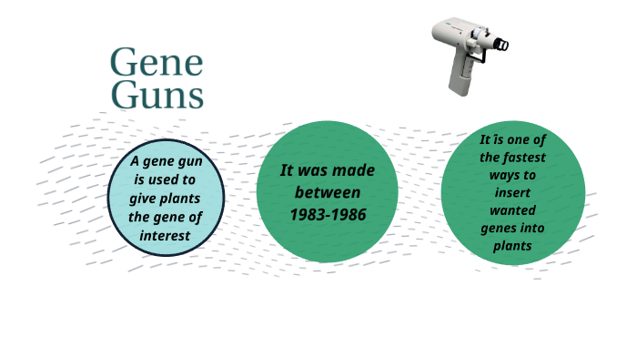 Gene gun by Vicente FloresGuerrero on Prezi