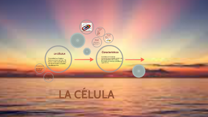 la celula by Pablo Andres Zapata Murillo on Prezi