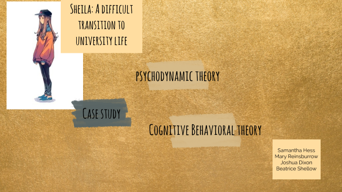 theory informed case study