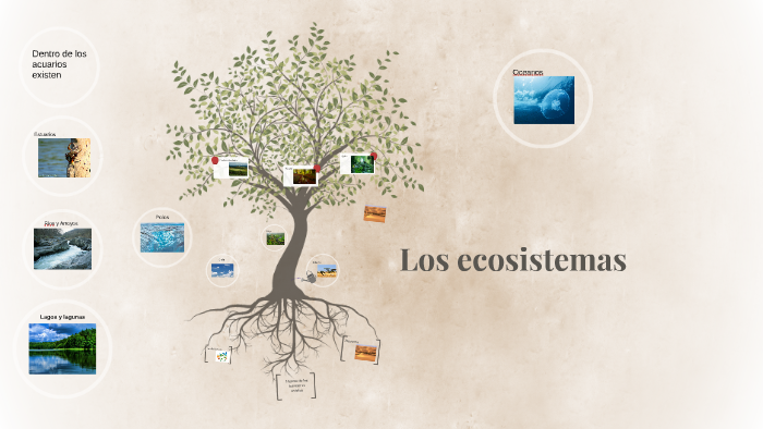 Los ecosistemas by Juan Martinez Reyna on Prezi