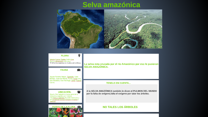 Selva Amazónica... by carolina reyes on Prezi