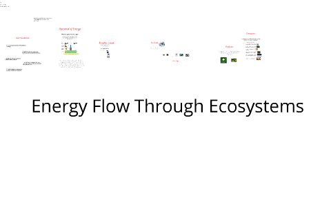 Energy Flow Through Ecosystems by Kye Wichlinski on Prezi