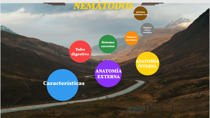 Nemátodos by Zoraya Miranda apaza on Prezi