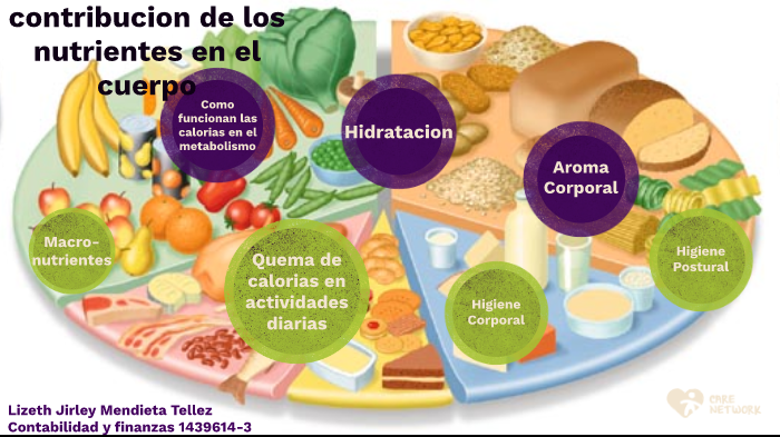 contribucion de los nutrientes en el cuerpo by Lizeth J. Mendieta T on