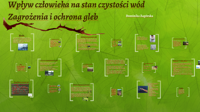 Wpływ człowieka na stan czystości wód by Dominika Zagórska on Prezi