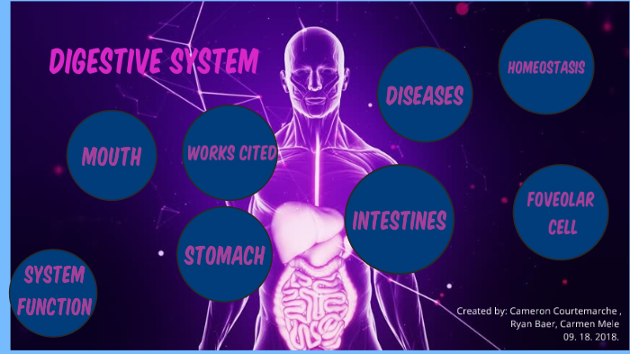 Digestive System Presentation by Dat Boi on Prezi