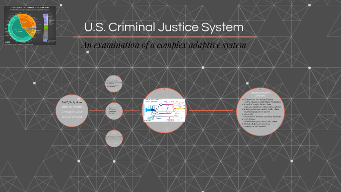 U.S. Criminal Justice System by Ali J on Prezi