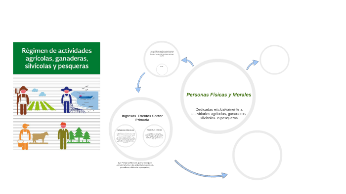 Régimen de Actividades Agrícolas, Ganaderas, Silvìcolas y Pe by TERESA