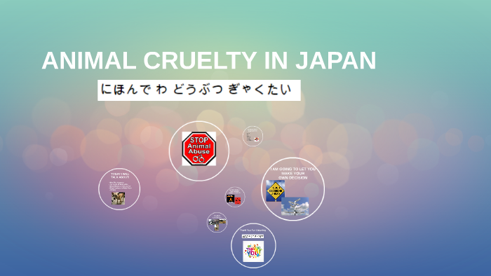 Animal Cruelty In Japan by Claudia Bonython on Prezi