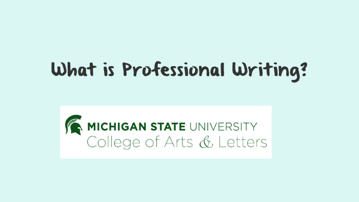 what-is-professional-writing-by-andrea-mackey