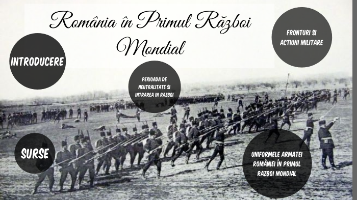 Romania In Primul Razboi Mondial By Lavinia Maria Raduta