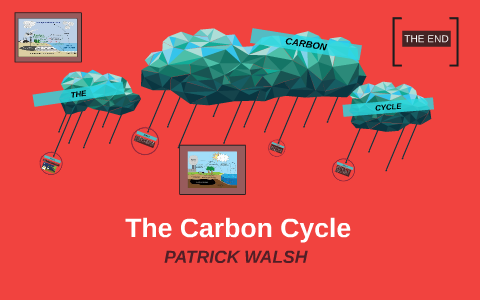 The Carbon Cycle by patrick walsh on Prezi