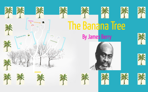 research paper on banana tree