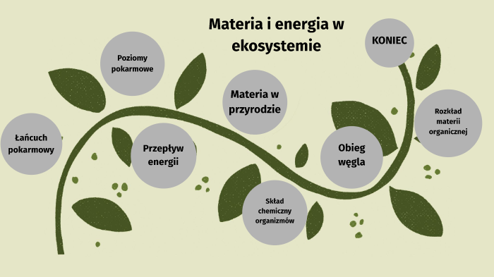 Piramida Energii W Ekosystemie Materia i energia w ekosystemie by Alicja Buda on Prezi