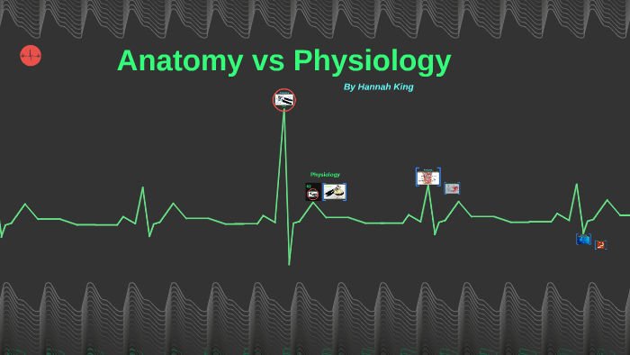 Anatomy vs Physiology by Hannah King on Prezi