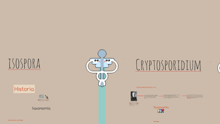 caracteristicas del ooquiste de cryptosporidium