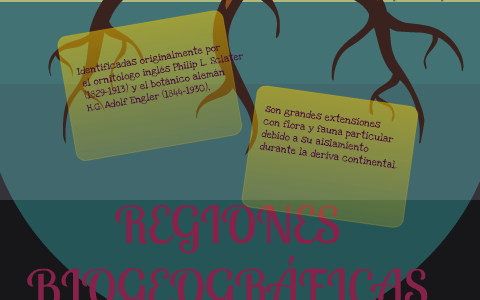 Regiones biogeográficas by Adriana Ruiz Márquez on Prezi
