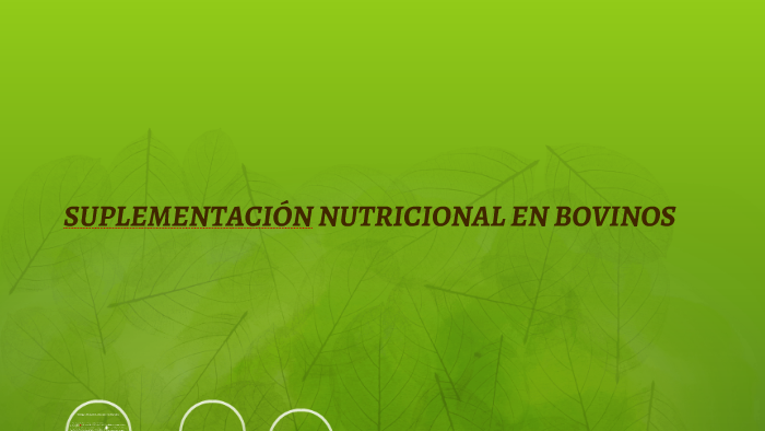 SuplementaciÓn Nutricional En Bovinos By Alain Alexander Torres Ramirez On Prezi