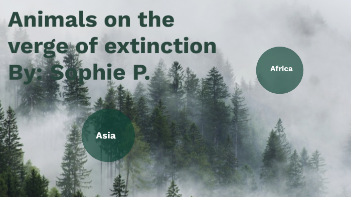 Animals on the verge of extinction by mophie mootz on Prezi