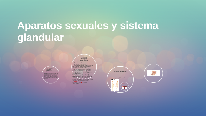 Aparatos Sexuales Y Sistema Glandular By Laura Hernandez On Prezi 5808