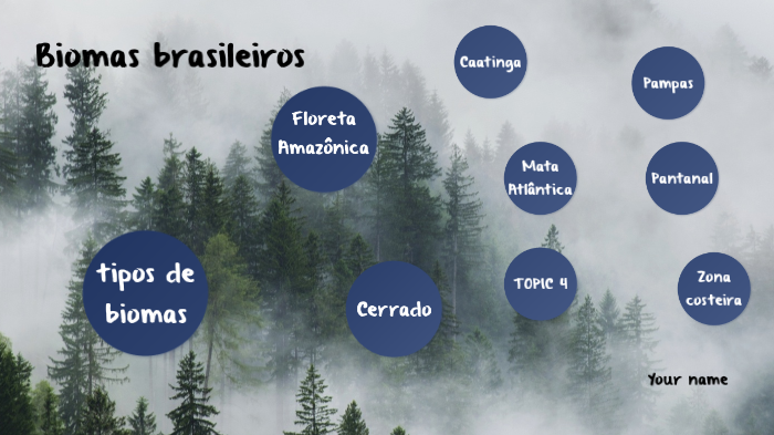biomas brasileiros by Rafaela Nicolini on Prezi