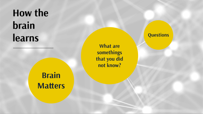 How the brain learns by Susan Nartatez on Prezi