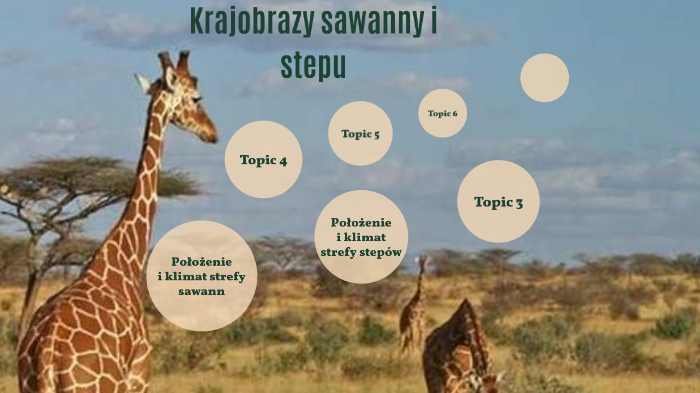 Krajobraz Sawanny I Stepu