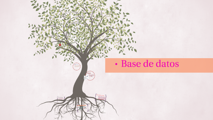 Base de datos by Yazmin colores on Prezi