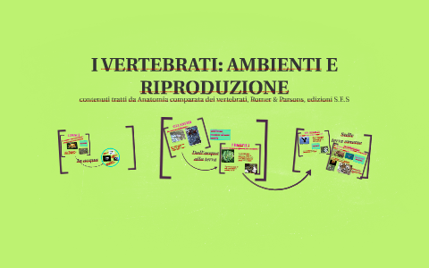 I vertebrati: ambiente e riproduzione by Laura Fonso on Prezi