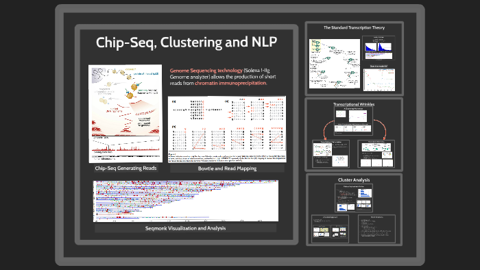 Chip-Seq Analysis by Thomas Luechtefeld