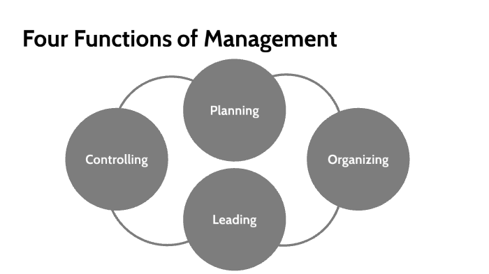 Four Functions of MGMT by Marie Gadeberg on Prezi