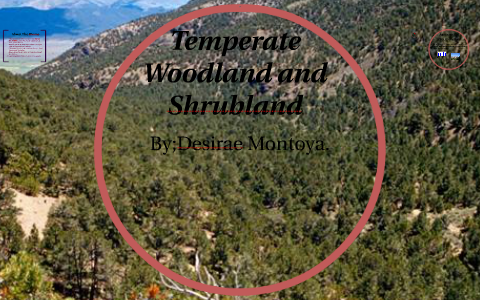 temperate woodland and shrubland biome