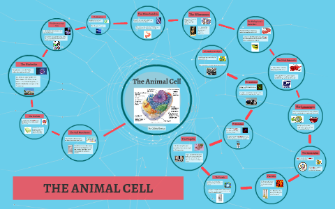 The Animal Cell Biology Project by Gabrielle Burton on Prezi