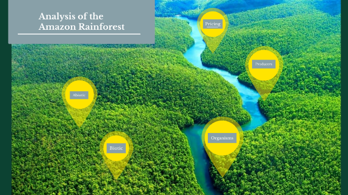 Analysis of the Amazon Rainforest by hannah smith on Prezi
