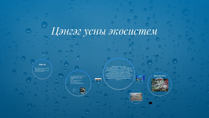 Цэнгэг усны экосистем by Б. Суу Гий on Prezi