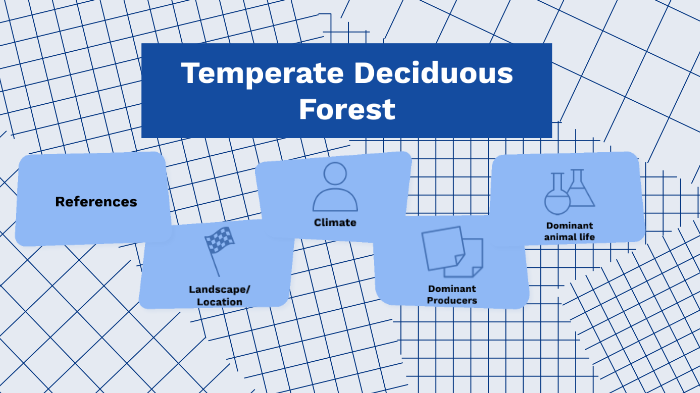 Temperate Deciduous Forest by Amiya Heppell on Prezi