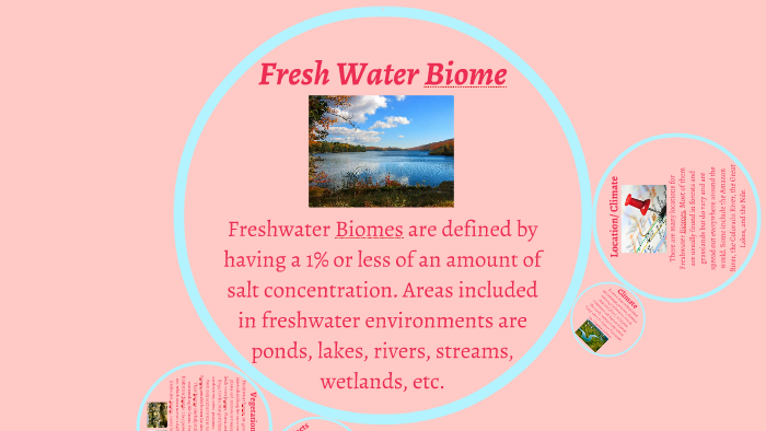 Freshwater Biome Location Climate Plants Animals And Threats PQYWB Freshwater Biome Location Climate Plants Animals And Threats PQYWB