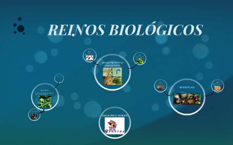 REINOS DE LA NATURALEZA by LEIDY URBINA on Prezi