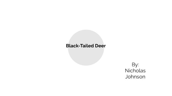 Black-Tailed Deer by Nicholas Johnson on Prezi