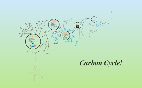 The Carbon Cycle by tahara williams on Prezi