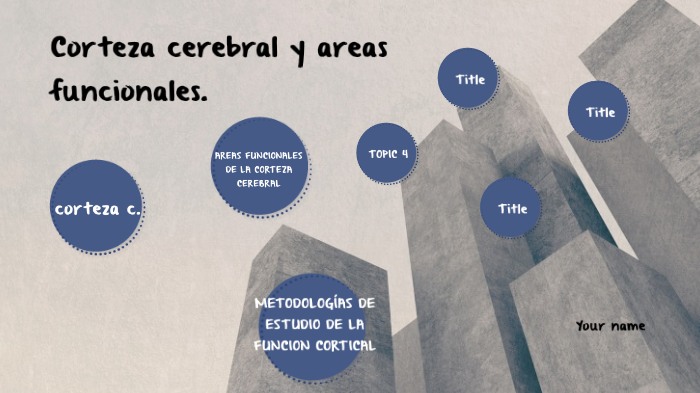 Corteza Cerebral Y áreas Funcionales By Maximiliano Galvez Zepeda On Prezi