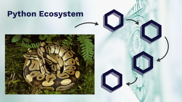Python Ecosystem by Omari McLean on Prezi