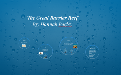 The Great Barrier Reef by Hannah Bagley on Prezi