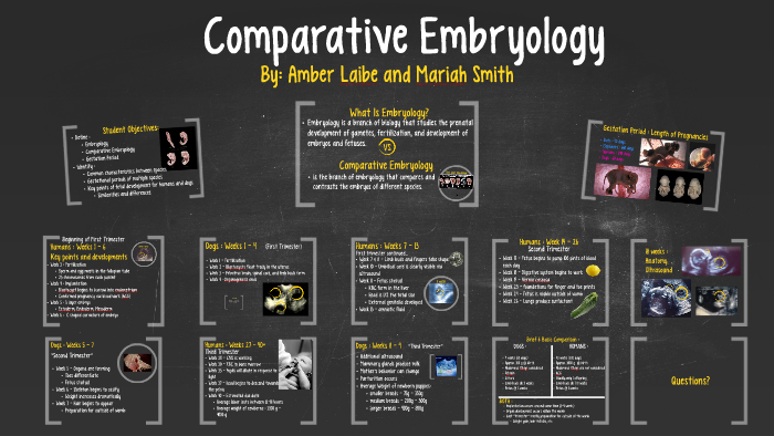 comparative-embryology-by