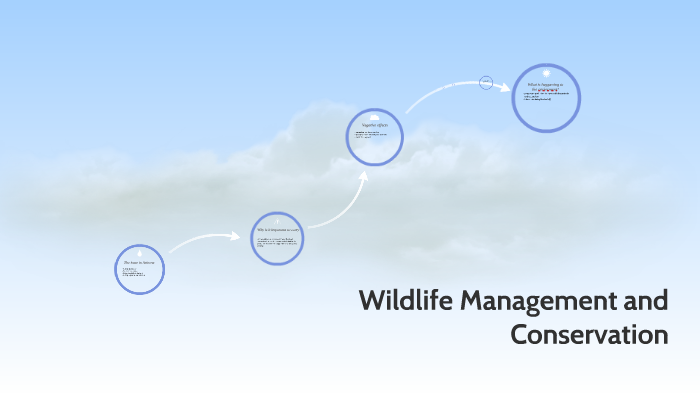 Wildlife Management and Conservation by Joshawn Patterson